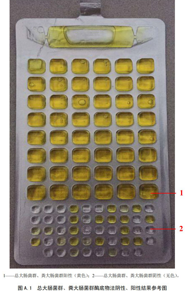 總大腸菌群、糞大腸菌群酶底物法陰性、陽性結(jié)果參考圖